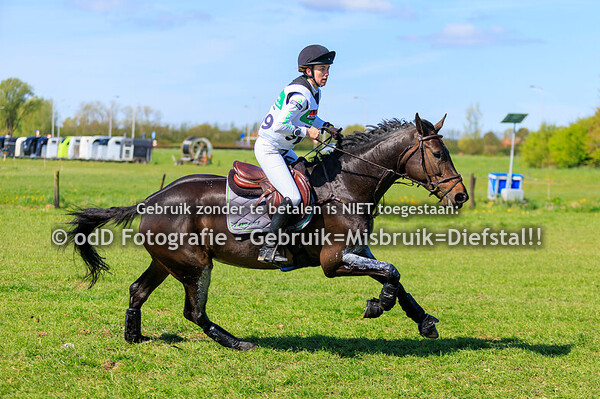 NHHT CCI3-L 19-04-25