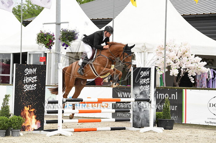 Thijs Meulemeesters - Najib