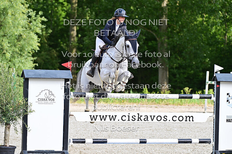 25 ETL Grote prijs, klassiek paarden 1.35m MB