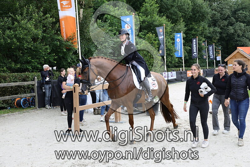 Hexagons Luxuriouzz NOPT