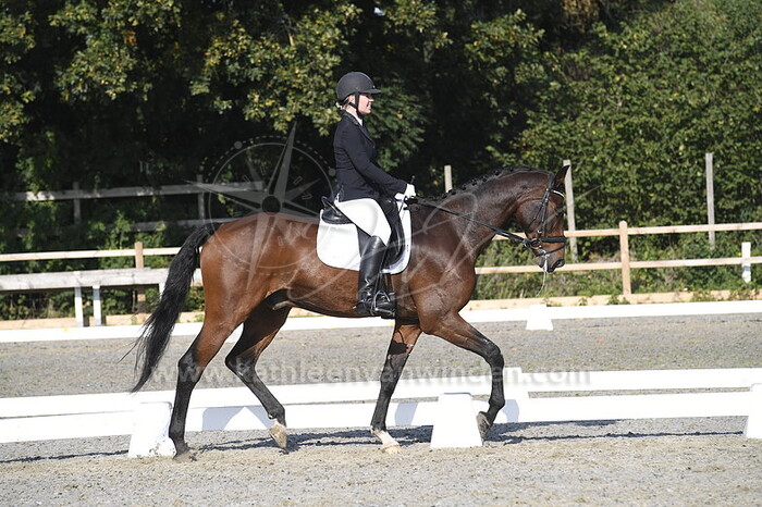 Lisanne van der Meulen