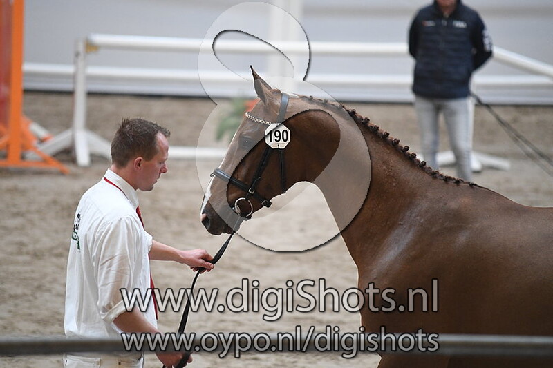 Mojito van de Laren Z v. Matisse de Mariposa