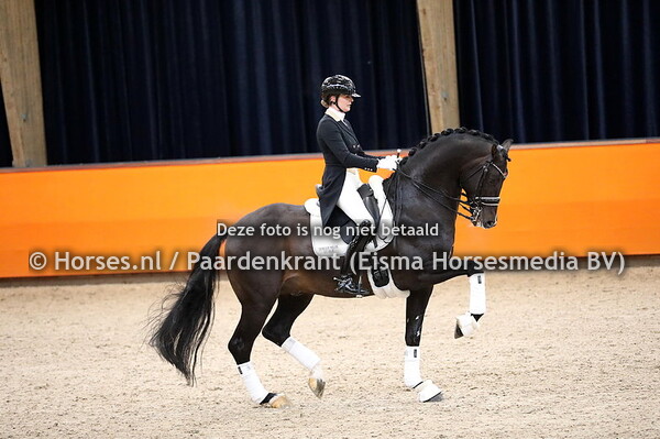 KWPN HK 2021 dressuur onder het zadel