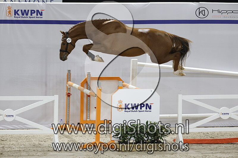 Optimist ES v. Herakles