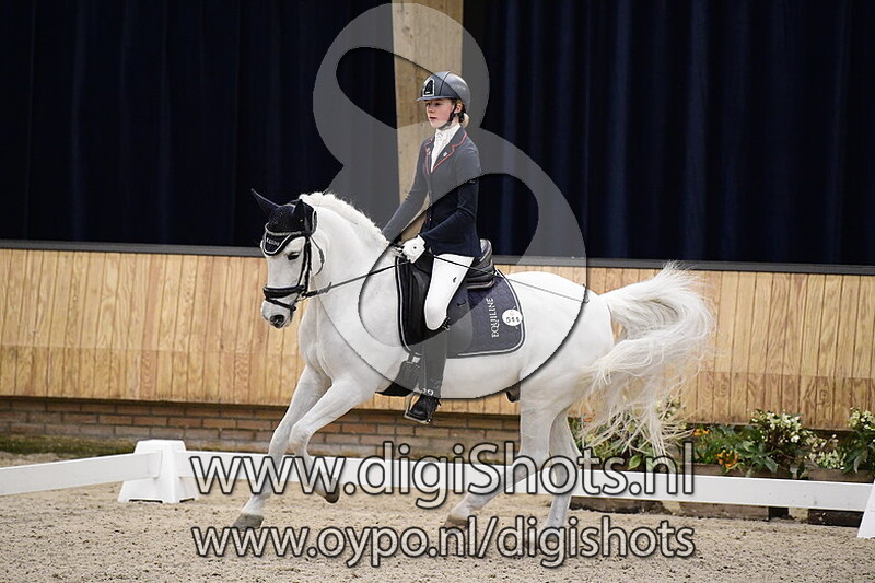 Onyx Van De Kleine Vlier