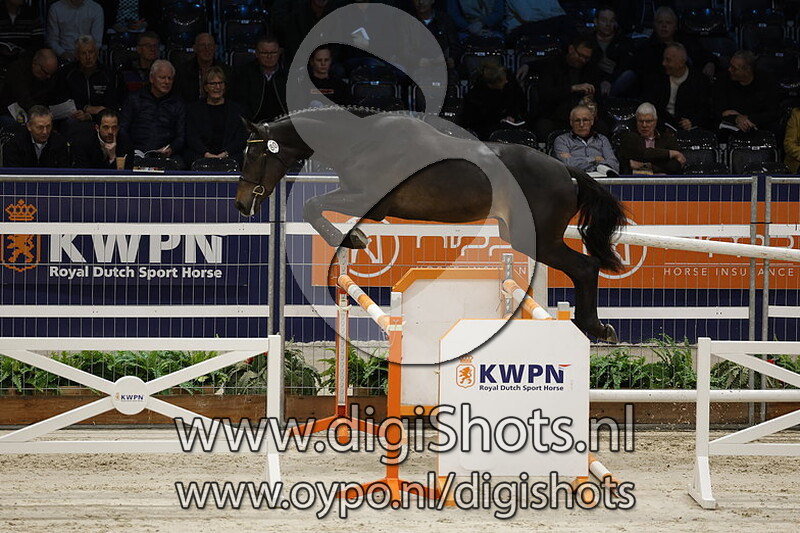 Range Rover Srk v. Jagger Srk - 080