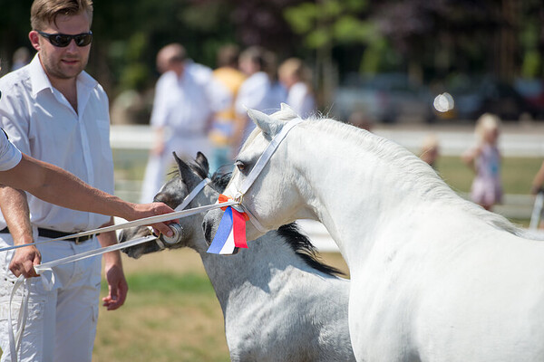 Regionale keuring Sevenum