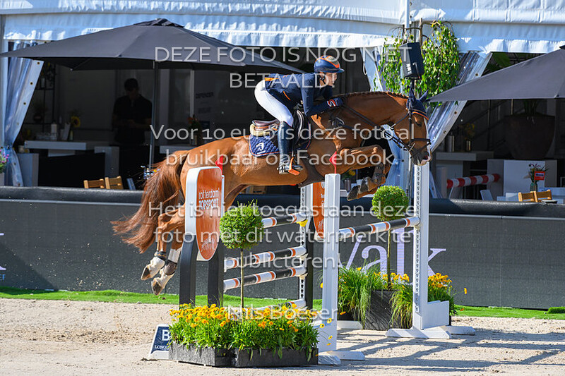 S5 CSI2 DHL Prize 130 (incomplete)