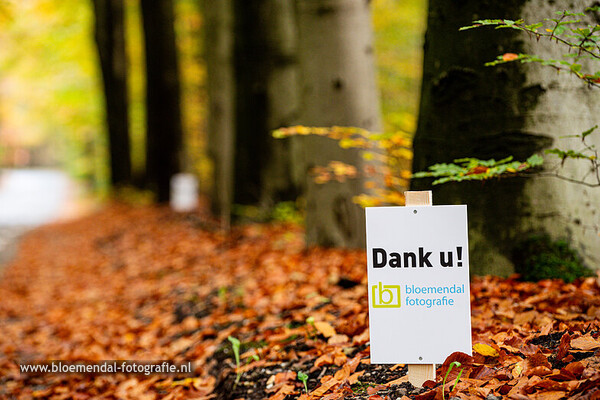 Twentse Motoren Club Moosrit 2025