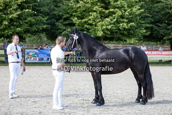 33. Riekah fan de Rijnvlierhoeve