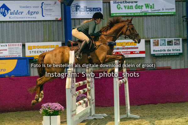 Paarden Indoor Zwaagwesteinde 1.10-1.20-1.30