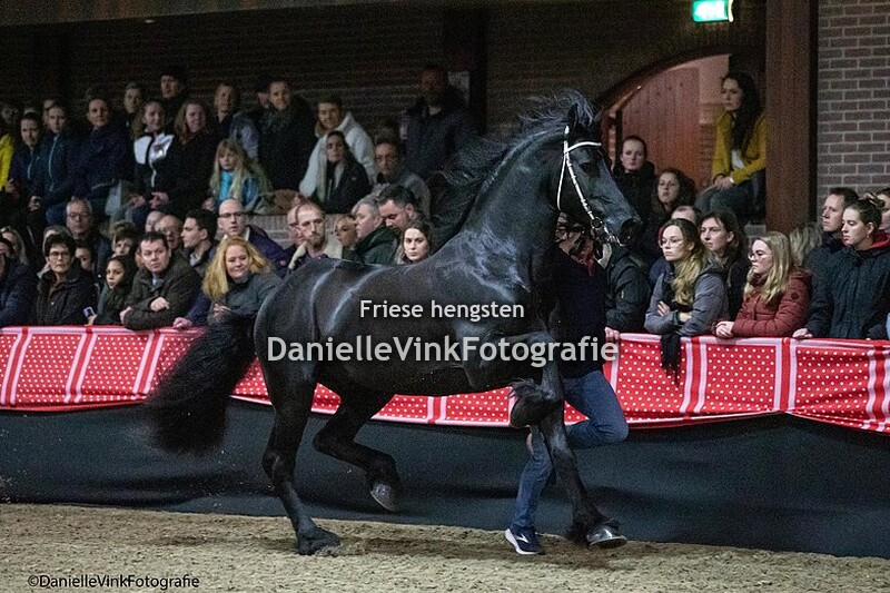Hengstenshow Lunteren 25-02-2023 Boet 516