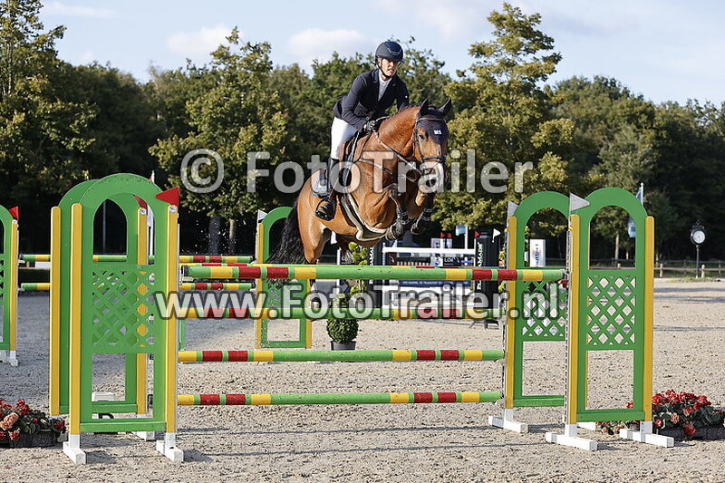 mareille van geel schroder