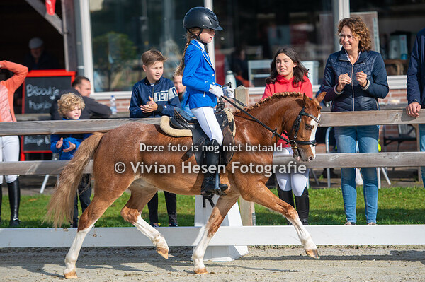 First Ridden - Leading Rein - Jonge Voorbrengers