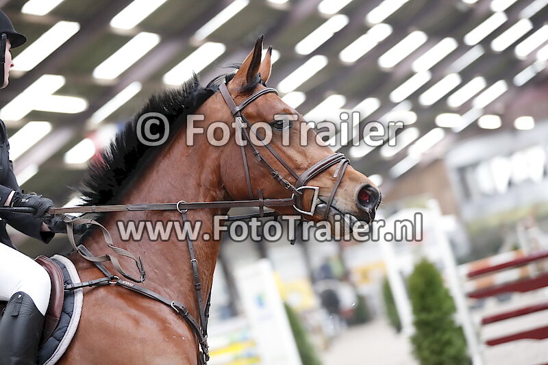 Judith van den Nieuwenhuijzen