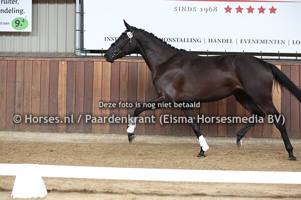 31 Sky (Furst Dior x Jade v. Dream Boy) (1)