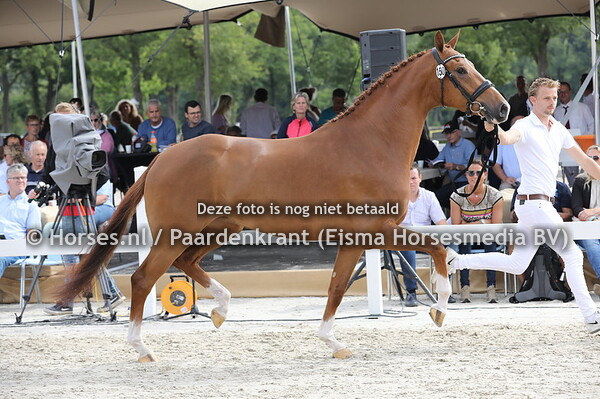 150 Nadya ter Kwincke