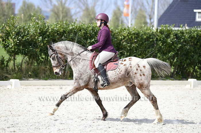 Jana Endemann - Mickey