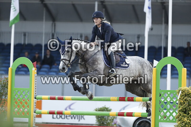 nathalie van der mei