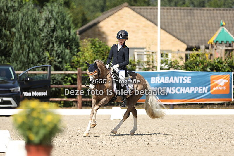 10.45-12.15 uur Ring 3 & 4