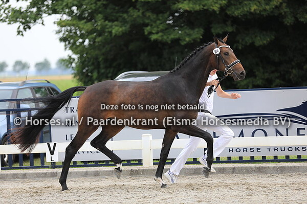 24 La Reine Sollenburg v For Romance