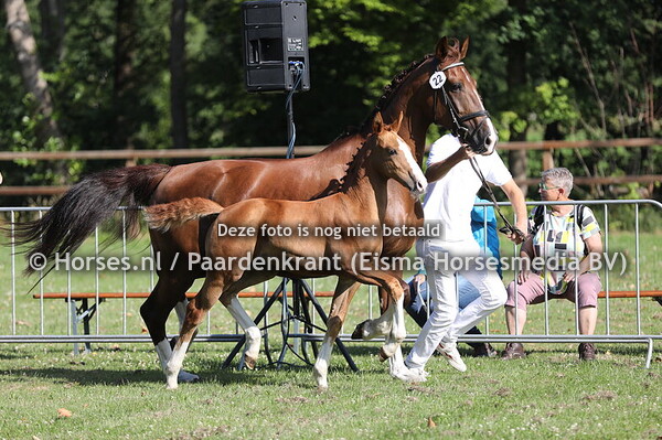 22 Victory Roepnaam Vicky