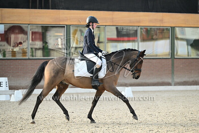 Liedewij Donselaar - Dylan's Owynn