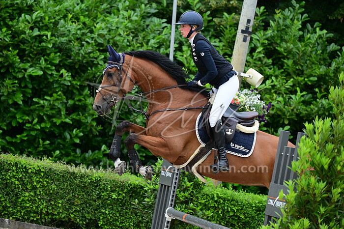 Iris de Rechter - Taj Mahal v.d. Axelhoeve