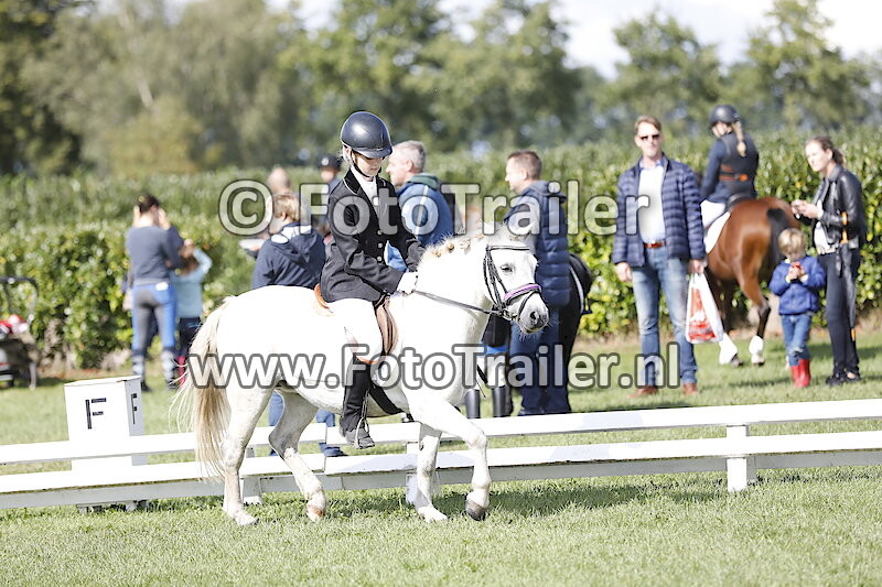 Geen nummer,BVL transport zadel