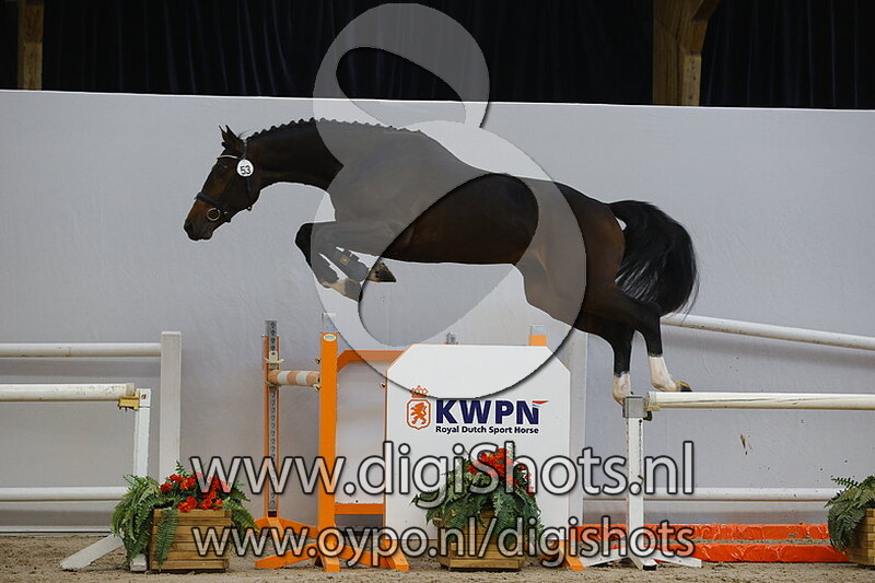 Nano v. Contendro II