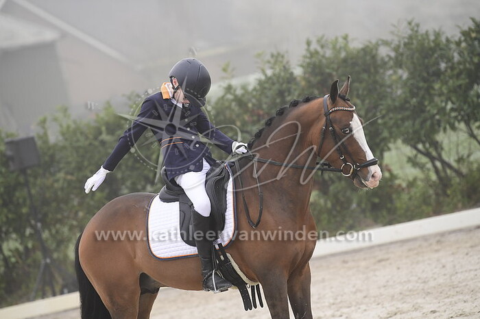 Justin van Teunenbroek - Havehoeve's Igo