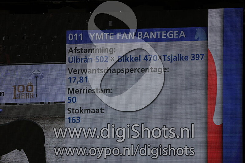 Ymte fan Bantegea