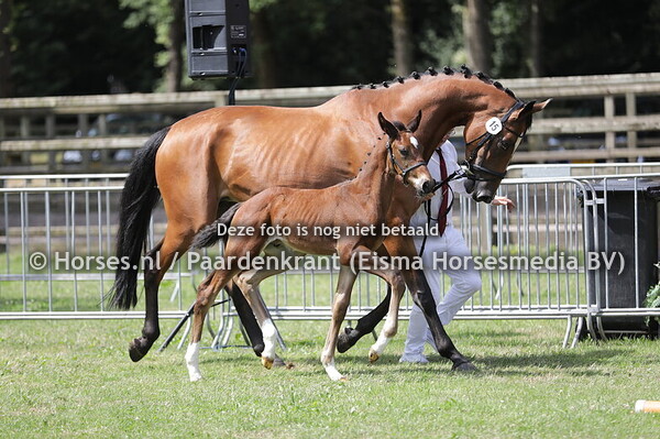 15 Vinio van de Klaverbron