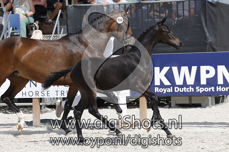 Taganita v. Dark Rousseau