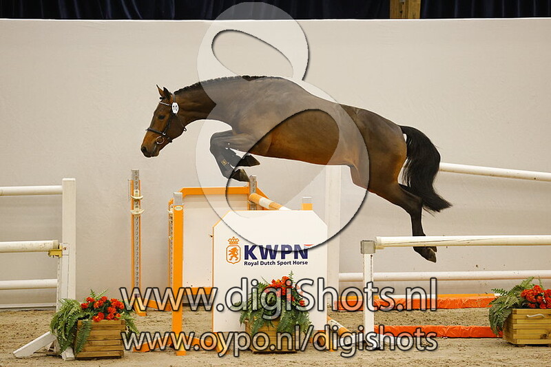 Naught Boy vd Hagenhorst v. Apardi