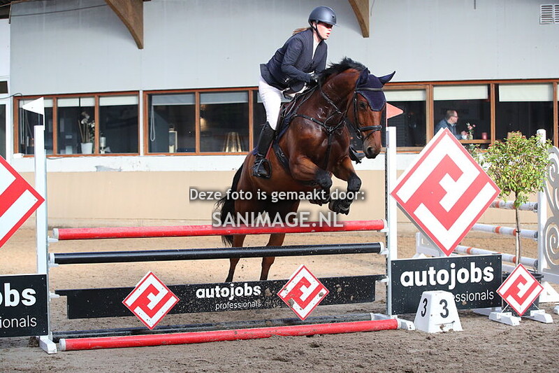 Zilfia's Hoeve Springen Paarden 26-10-2024 100 cm