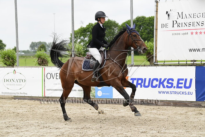 Sacha de Wit - Tina Thunder van de Wezelse Heihoeve