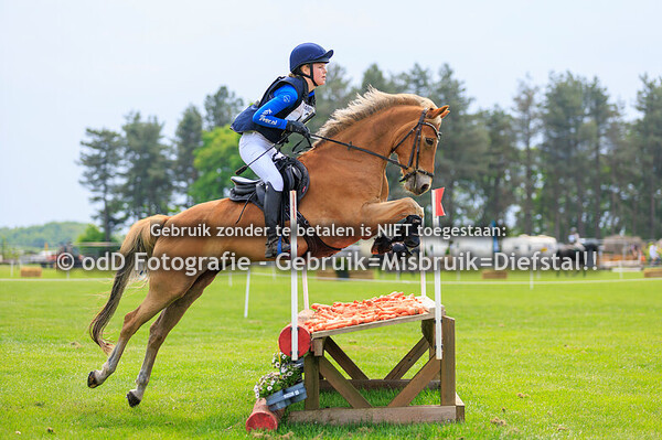 Grandorse Horsetrials Pony L 03-05-25