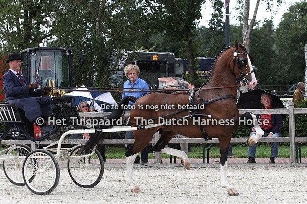 Lexington (Fantijn x Colonist)