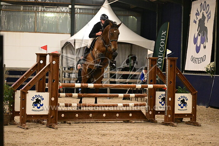 Olivier van der Vaart - Narnya