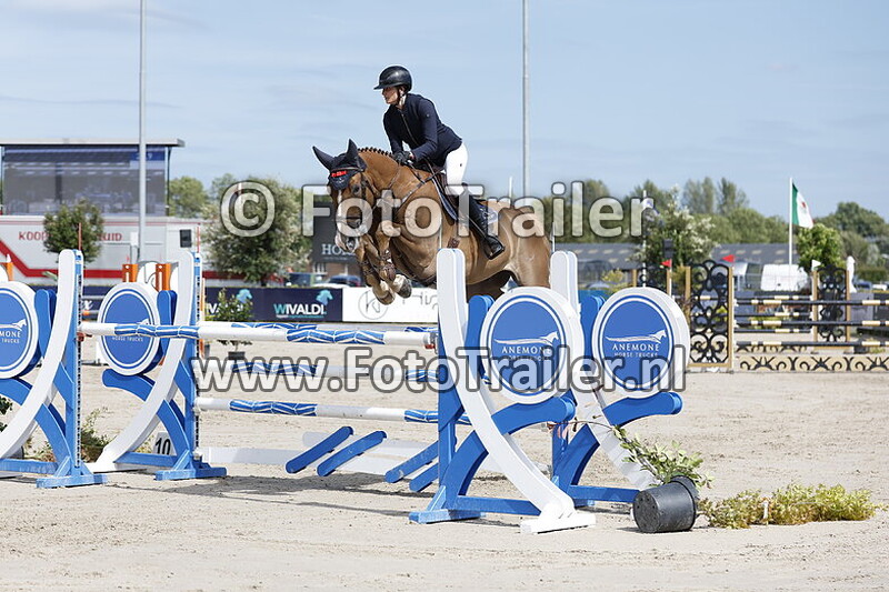 frederique broadwith