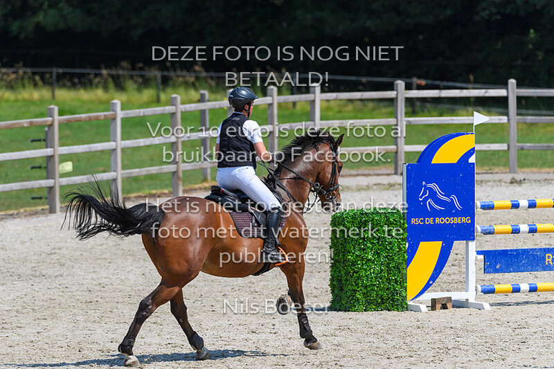 5 Klasse Paarden 110cm