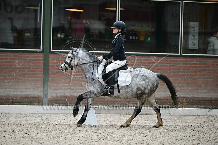 Fee van Yperen - Silver