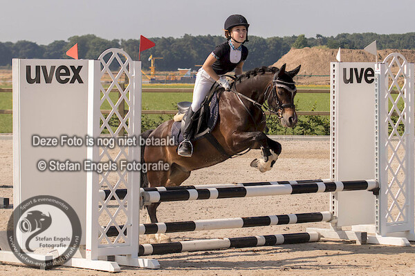 2017-07-09 Outdoor beesel