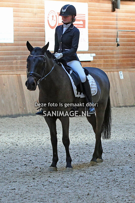 PV Midland Dressuur 13-11-2022 10.30 uur