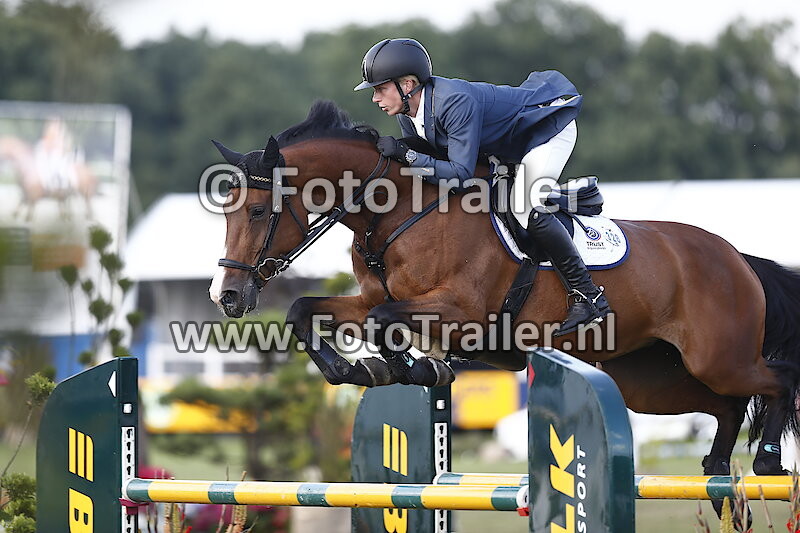 Dennis van den Brink