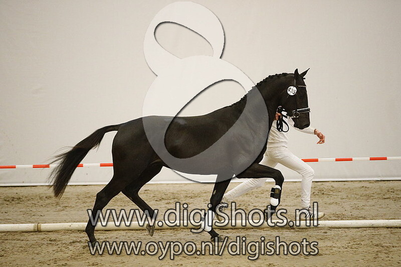 435 Lector v. Giovanni