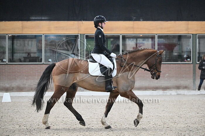 Marne Jansingh - Free to date DHW