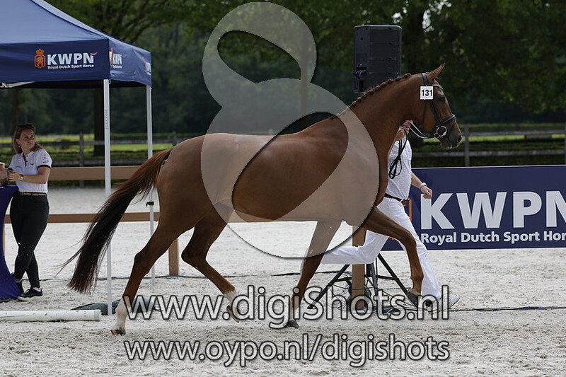 Primalifia Blue v. Bordeaux