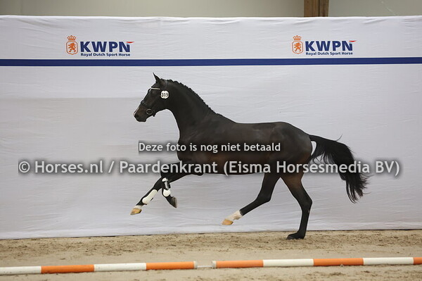 319 (Desperado x Sandro Hit)